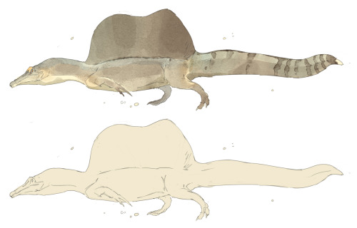  Oh I had to draw a spino after the recent discoveries.. 