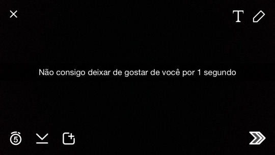 Lobo Solitário