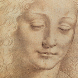 vivalcli:Moodboard: Leonardo da Vinci’s