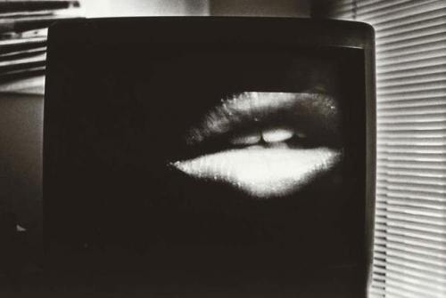 yama-bato:    © Daido Moriyama https://www.telegraph.co.uk/culture/photography/11198826/tokyo-photos-japan-photography.html?frame=3090747 