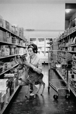 thisfeliciaday:  revivalphotography:  Audrey Hepburn grocery shops with her pet deer, Pippin.  OF COURSE SHE HAD A PET DEER OMG I LOVE HER