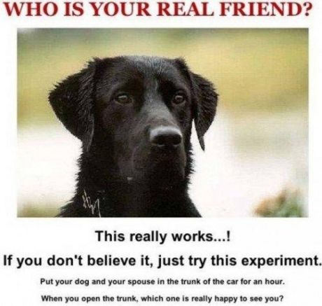 Just Funny Pictures