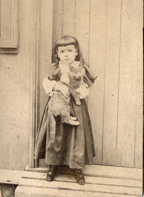 This is the poster’s great grandmother in 1895. Proof that her love of cats is genetic. ♥(via 