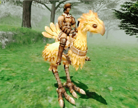 cactuarqueen:I want to ride my chocobo all day ♪