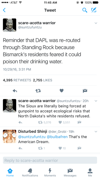 beauitful:#NoDAPL