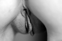 Sexual Overexcited