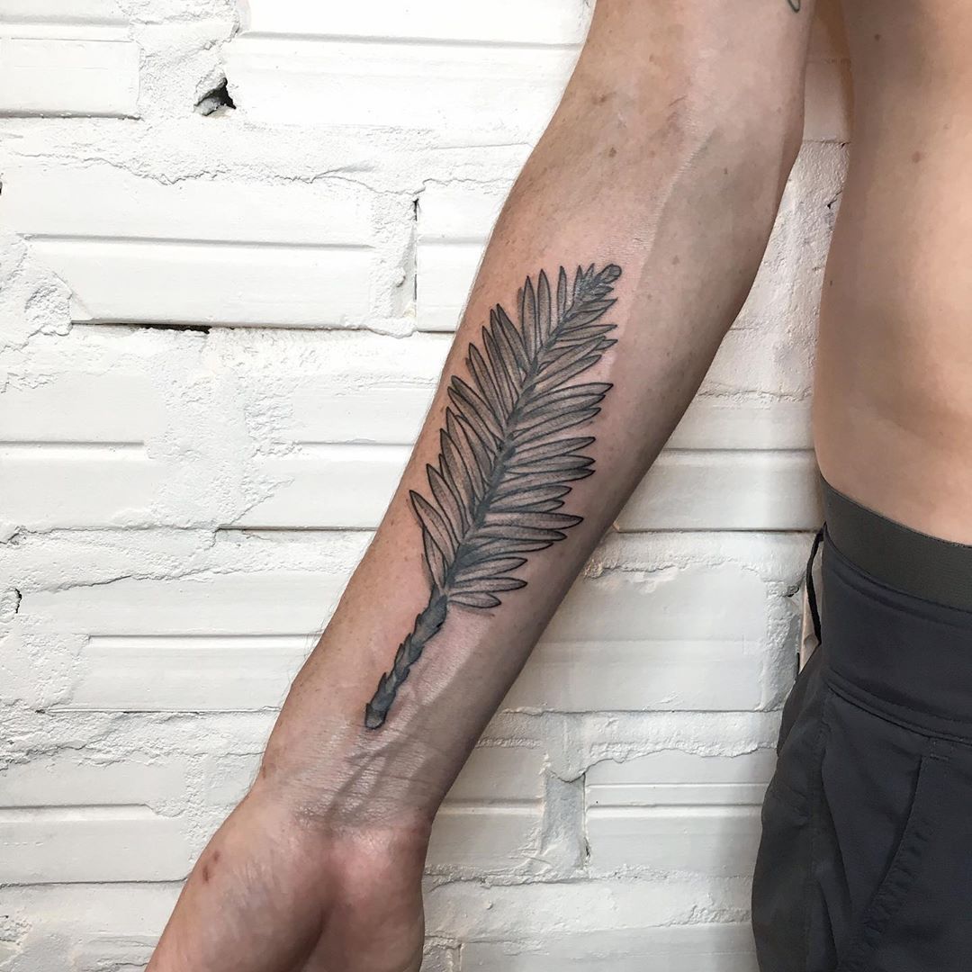 • SEQUOIA LEAF •
Thanks for be you Aviv, was a pleasure to meet you, see you around the world 🙏🏻🧘🏼‍♂️🌏
.
.
.
.
.
#sequoia #nature #benditatintaofficial #mpaibay #benditatinta #ontheroad #art #tattoo #collective #traditional #electric #tattooing...