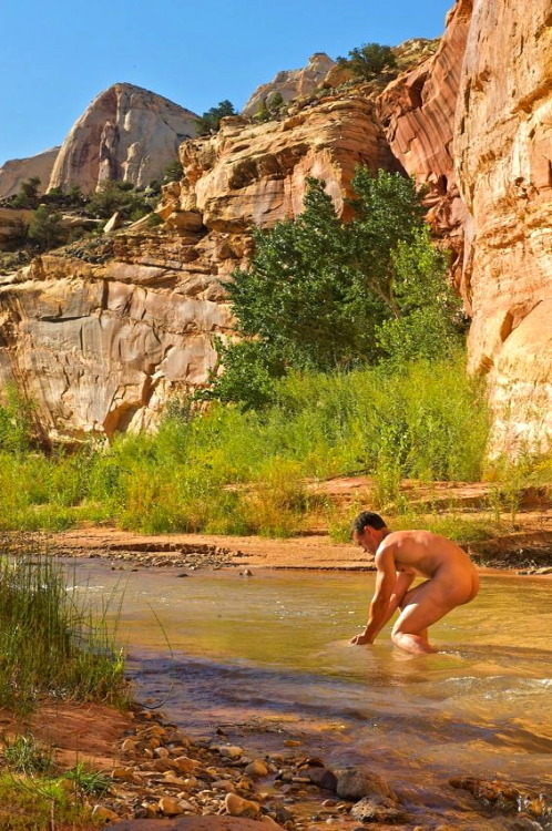 Dipping into the creek.