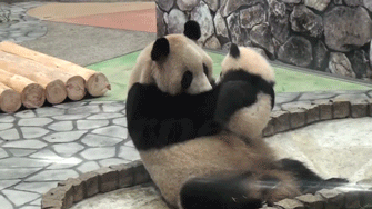 Reblog This With A Gif Or Picture Of Two Things Or People Hugging Then Tag As Many People As You Want