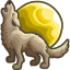 lotuswhimccfinds