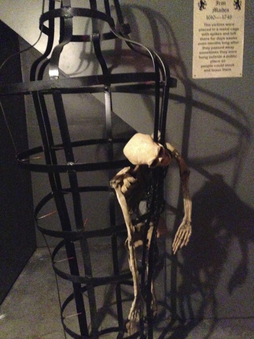 Sex sphenoidslesserwing: Medieval Tortore Museum pictures