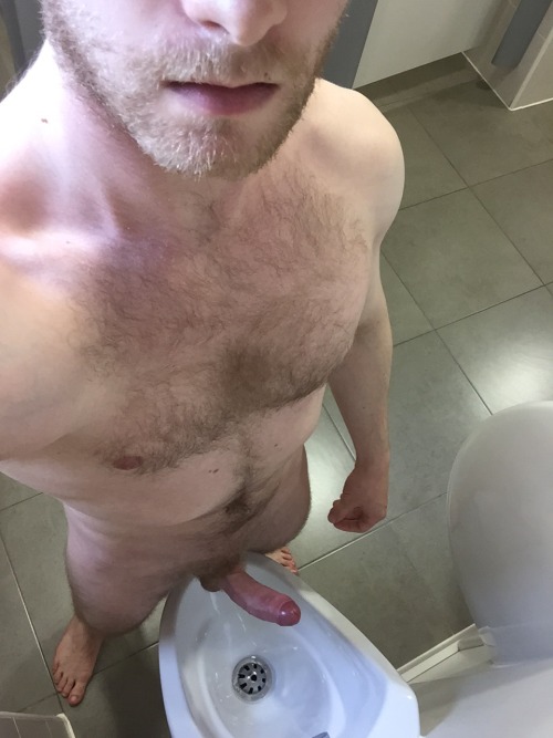 hairy-chests:  blonde .HairyChestG   .Cock-Gif