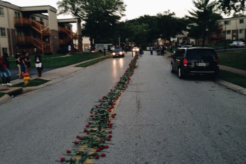 acidxirwin - bvsedjesus - A line of roses lines the street where...