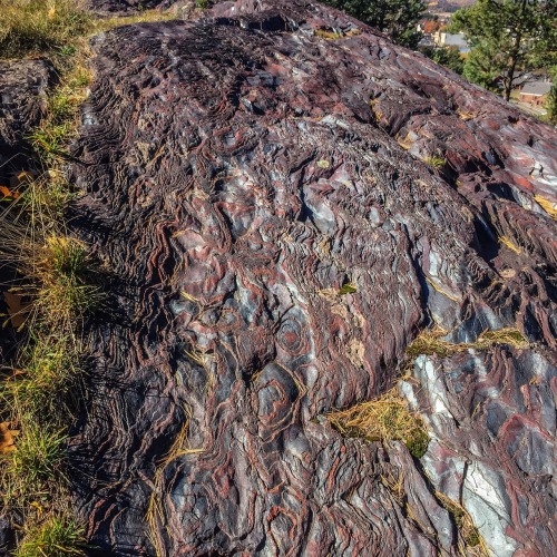 upnorthphoto:Banded Iron formation. Jasper Knob, Ishpeming, Michigan.That is some awesome iron forma