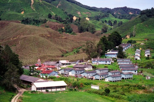 Worker Housing, Boh Tea Plantation, Cameron Highlands, Pahang, Malaysia, 2000.Note the Hindu Temple 