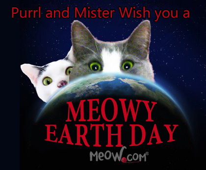 The Mew Crew at meow.com wish you a Meowy Earth Day! Check out the Spring Sale here: www.meow