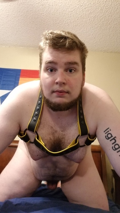 gaywolfos: I was asked for more stuff in my harness, and ye shall receive