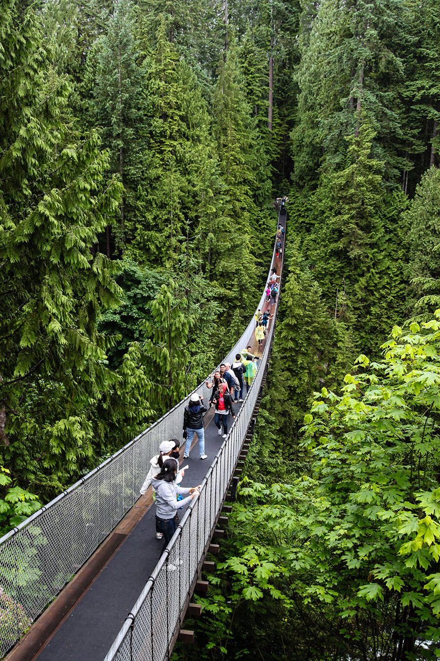 Take a chance on these 8 thrilling suspension walkways