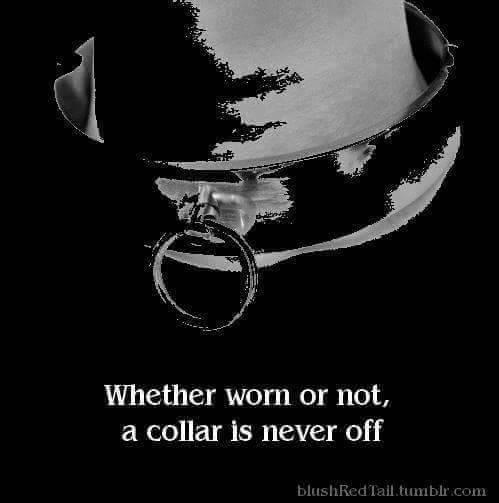 obedience-is-the-law:  Fact 