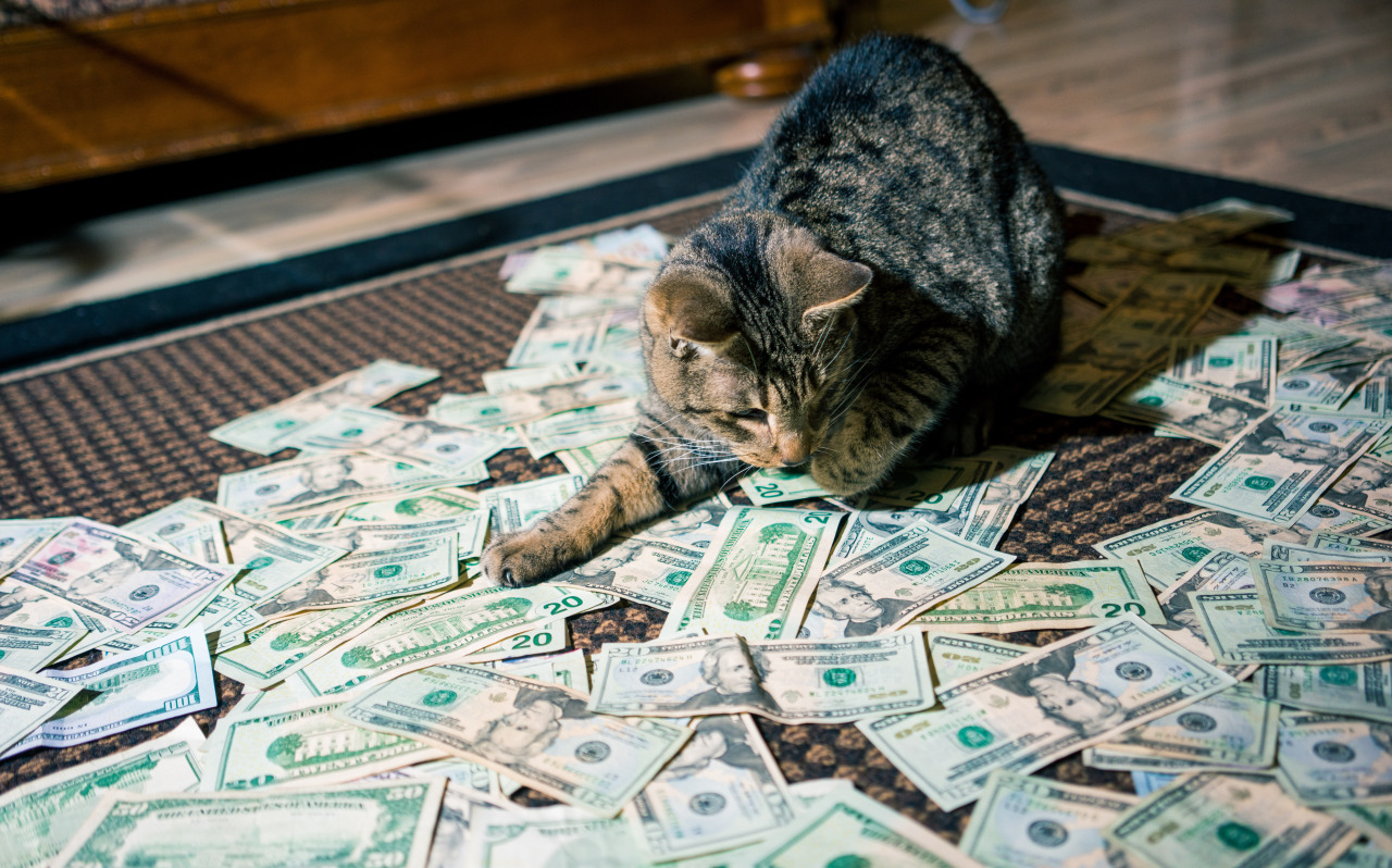 cashcats.biz