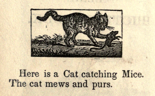 nemfrog:Mews and purs. Child’s picture book. 1840s?Internet Archive