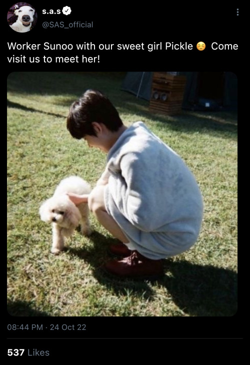 Working At An Animal Shelter With Enhypen !!