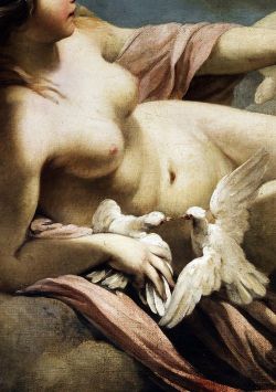 afroui:  Sebiastano Ricci | Venus and Cupid c.1700