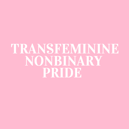 [Image: A pink color block with white text that reads “Transfeminine nonbinary pride”]