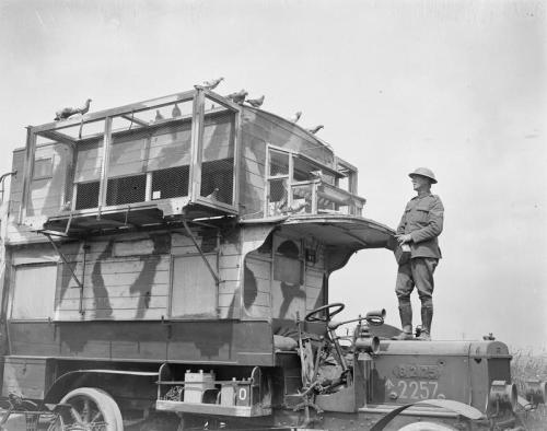 scrapironflotilla:A former London double-decker bus (B.2125), camouflage painted, used as a travelli