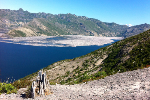 Spirit Lake, Views from Windy Ridge Toward Mt. Margaret, Mt. St. Helens National Volcanic Monument, 