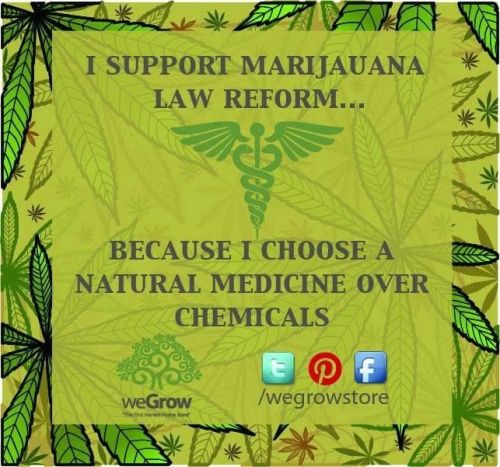 I support Marijuana … Do you? because i choose a natural medicine over chemicals 