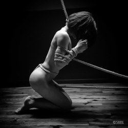 acordesetacris:  Shibari