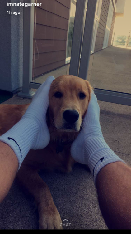 What I’d do to be that dog