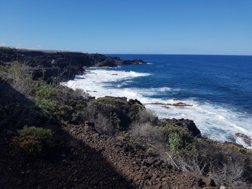 travelmind:La Palma is amazing