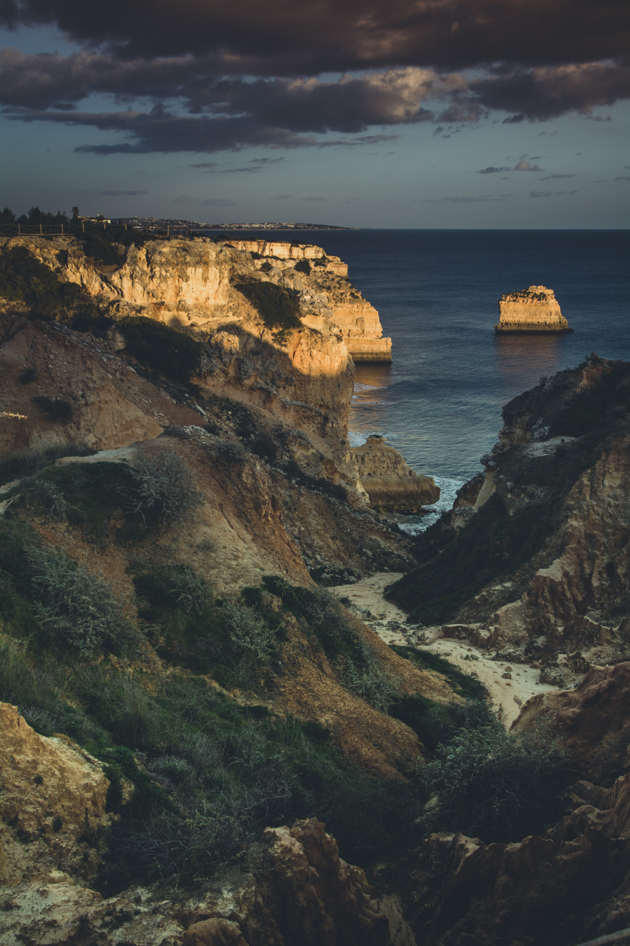 colorsofgarden:  pedromgabriel:- Going to close my eyes now… -  Visit Our Newest