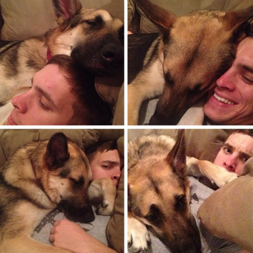 awesome-picz:    Dogs That Don’t Care About Your Personal Space.