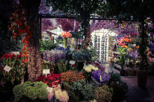 Flower market