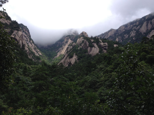 90377: Huangshan (Yellow Mountain) - Foggy Hike by Catherine Frisbie