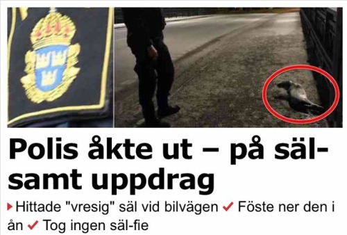 jag vill dö