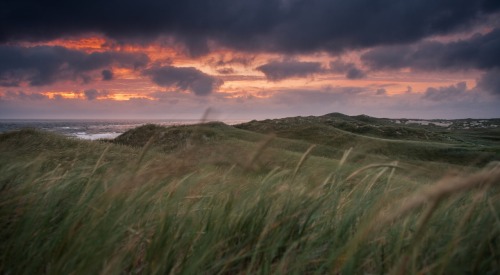 danish west coast - skodbjerge - sunset matthias rühlemann