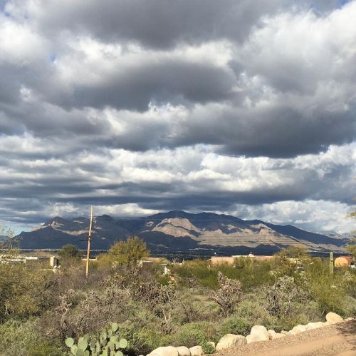 Just down the driveway. #Tucson #mountains #arizona_landscapes #writersofinstagram #writingretreat (