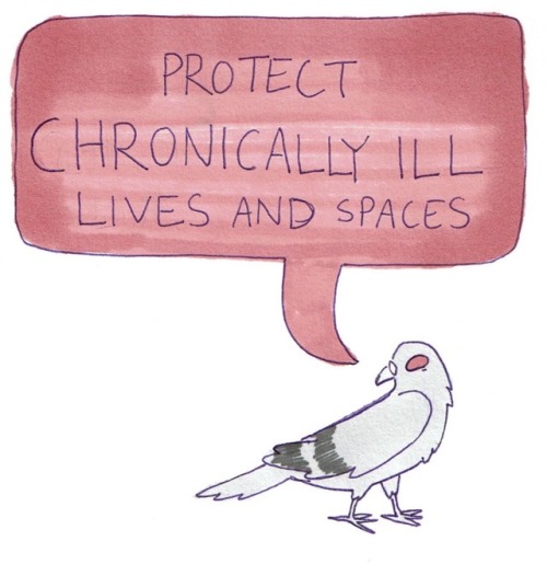 qcrip:  incendavery:  flock together; love each other (part 3) (more protest pigeons)  [image desc: 