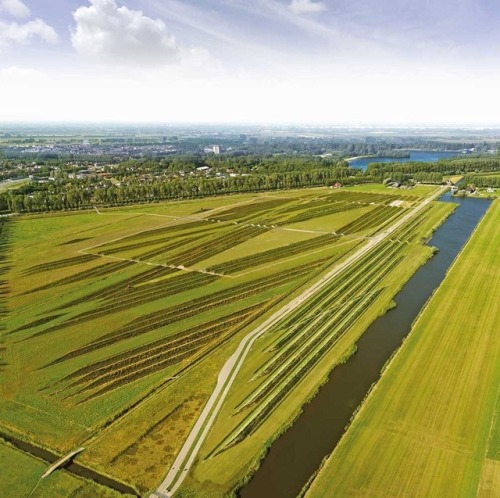 ryanpanos:    How Amsterdam’s Airport Is Fighting Noise Pollution With Land Art | Via Amsterdam’s Schiphol Airport, located just 9 km southwest of the city, is the third busiest airport in Europe and one of the busiest in the world. In an average