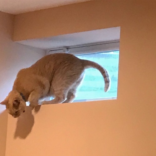 he found the window