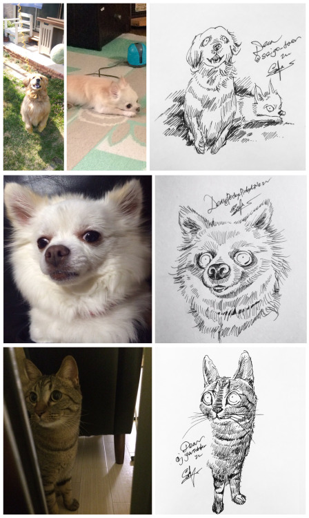 Daily Sketches of my followers’ pets
https://twitter.com/sakirhythm