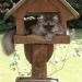 happyheidi:Cats in birdhouses ♡