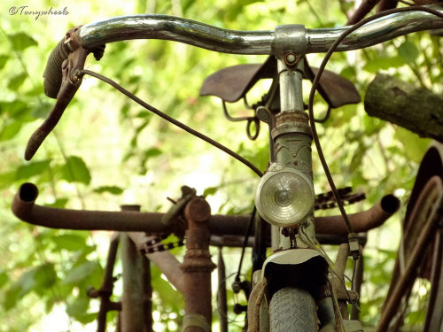 bisikleta: Leducq Bicyclette (by tonywheels)