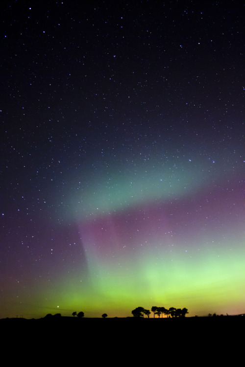 bount:  rsenerii:  (By corinne mills)  