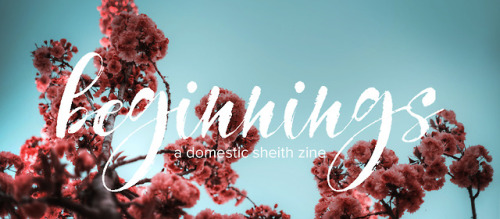 domestic-sheith-zine: New Beginnings: a Domestic Sheith Zine Full Contributor List  The moderat
