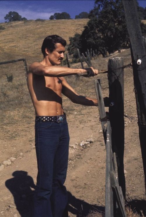 BADLANDS (1988)Note: Actor simply billed as Phillip